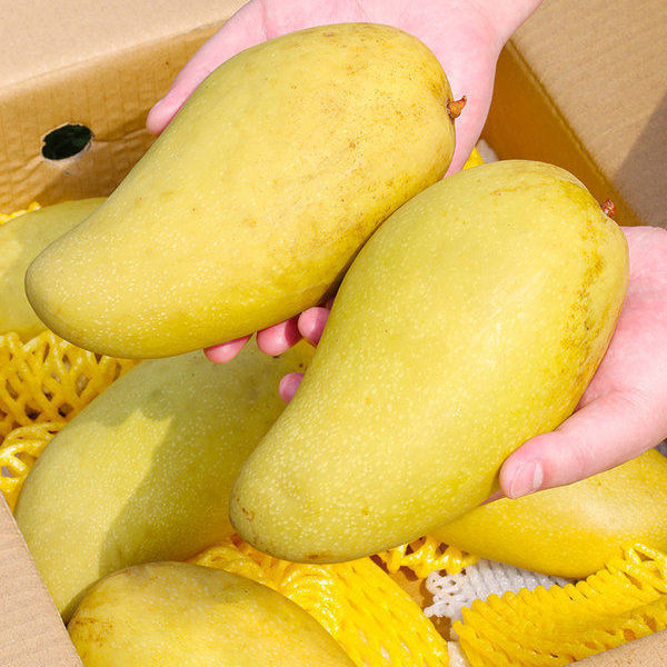 Ӧâ10װˮâˮâƤ
