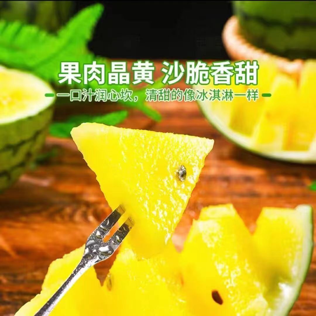 ˺ɫСϱСϻȿϱƤӦˮ
