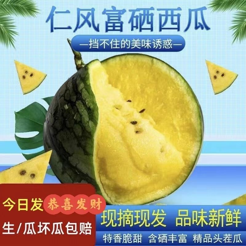 ˺ɫСϱСϻȿϱƤӦˮ
