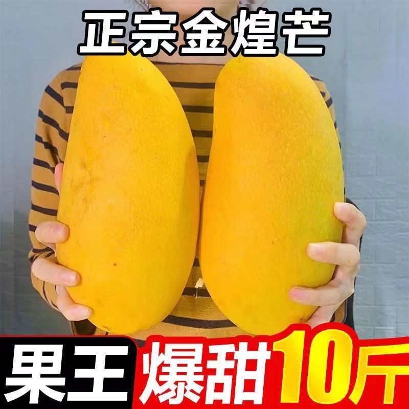 Ͻâ10װˮâˮââ10/5/3
