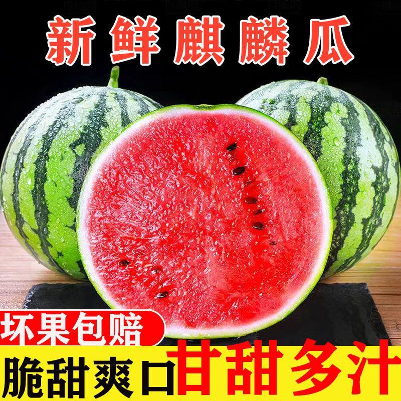 ժַӦˮ֭
