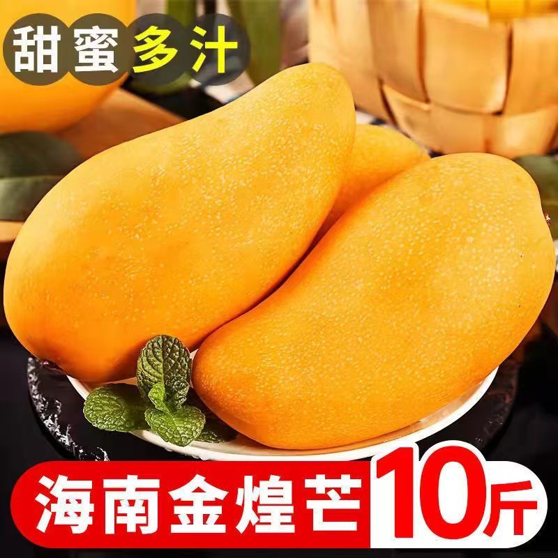 Ͻâ10װˮâˮââ10/5/3
