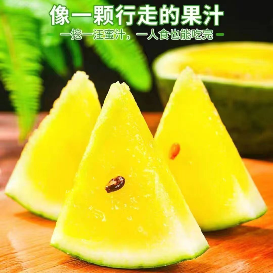 ˺ɫСϱСϻȿϱƤӦˮ
