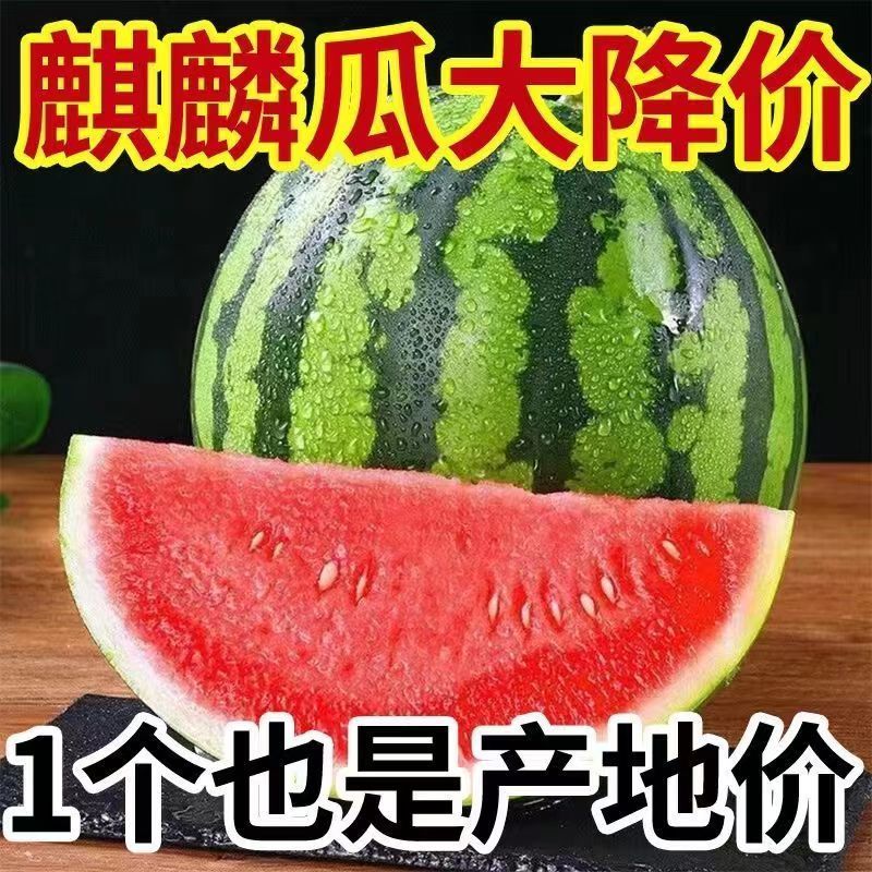 ժַӦˮ֭
