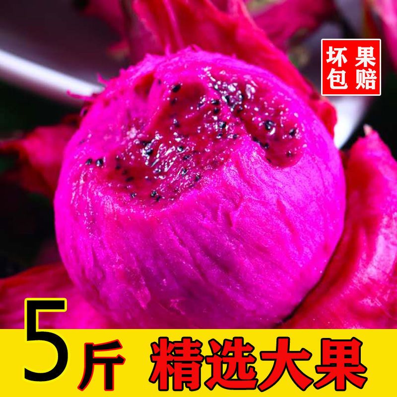  һų Ӧˮ2/5 ϻ