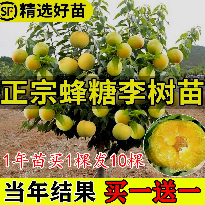 統ԵԼ޽ͺͺϱֲ

