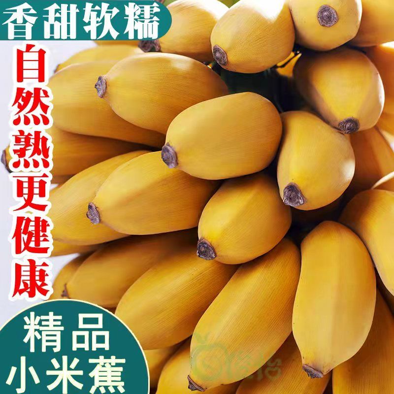 콢꡿ڹС׽㽶ŽǷ۽ϻʵ۽
