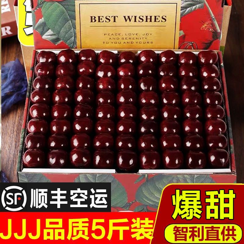ֻˮشӣjjj5˳
