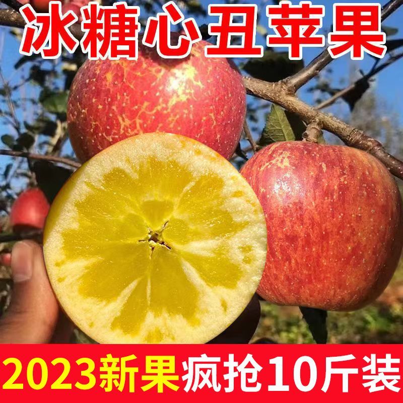 ɽڳƻ10ﵱˮԴ츻ʿ
