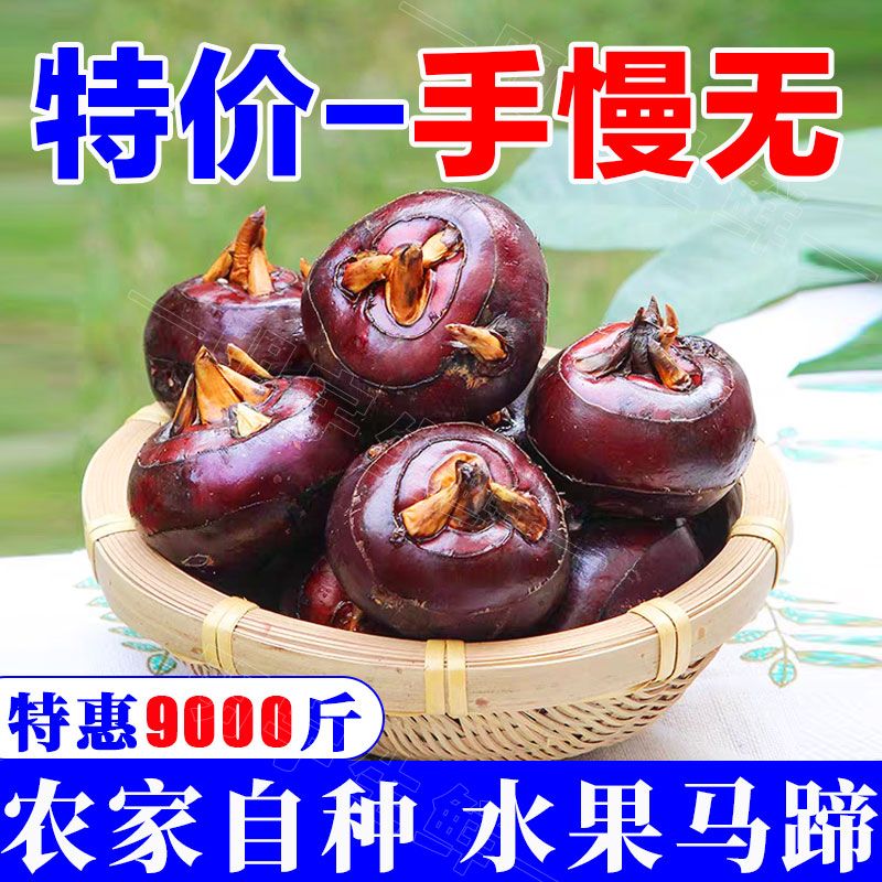 شũݩˮ߲˵
