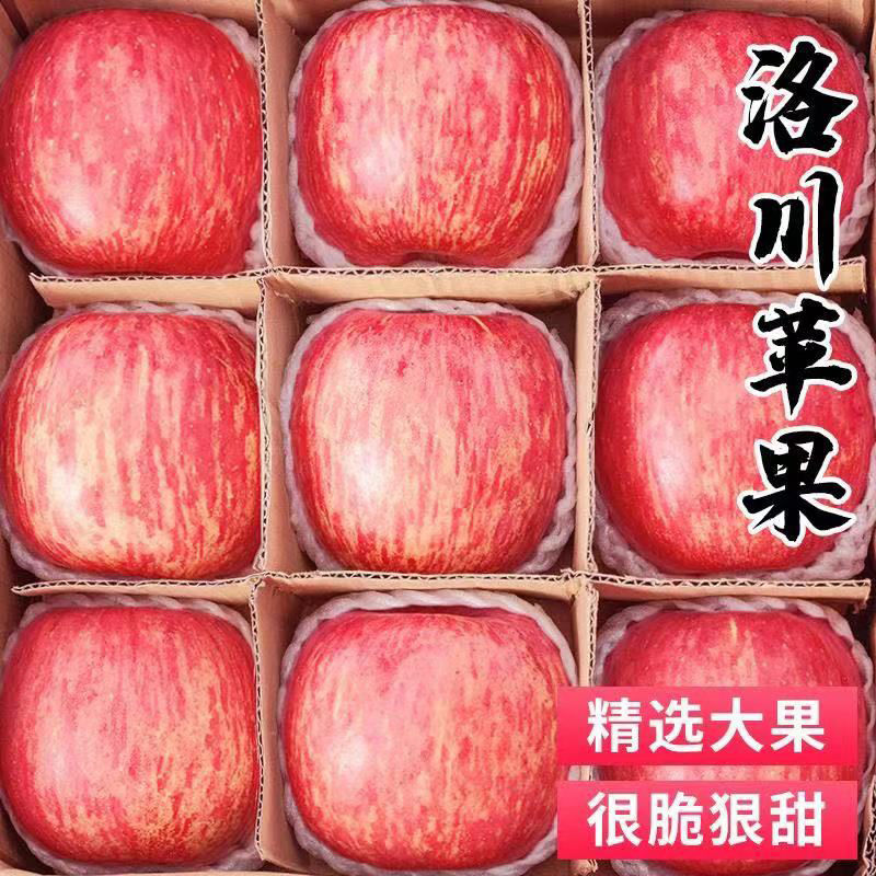 崨ƻժؼ崨츻ʿƻˮһ

