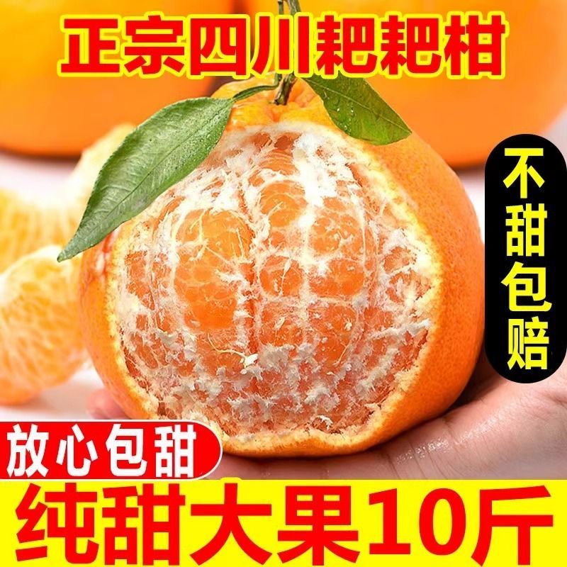 ĴؼҰҸθ10𵱼ˮ̽۰
