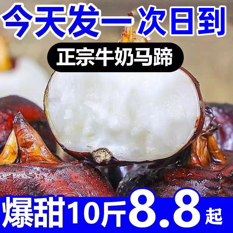ڰ®ݩڴӦˮ߲˵5
