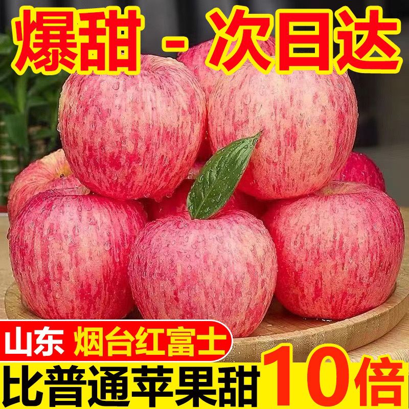 ɽ̨ϼ츻ʿƻʴˮƽ
