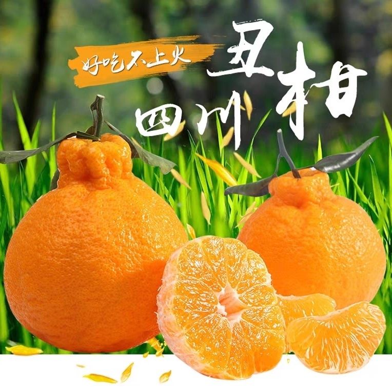 Ĵٲ֪ӳ˹Ӧˮժ10ǰҰҸ
