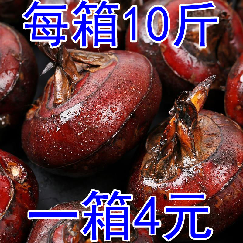 شũڡˮݩˮ߲˵
