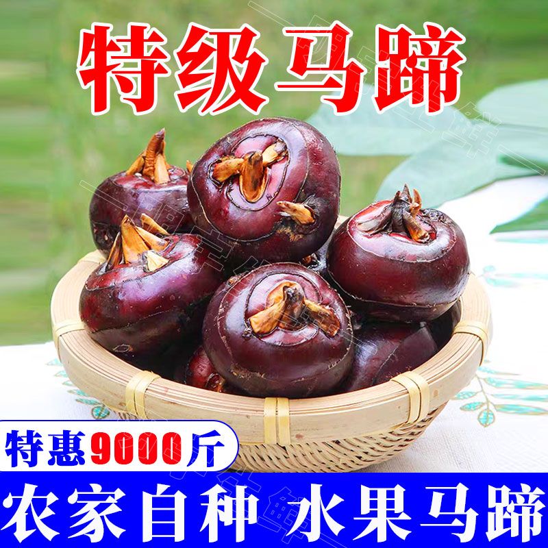 شũݩˮ߲˵
