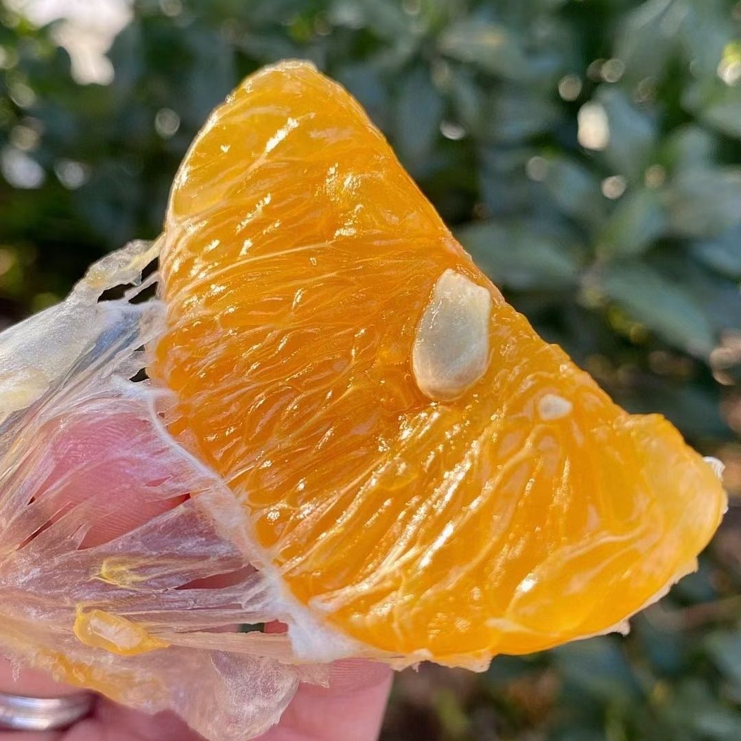 ԼڹʱƤиˮӽӦժ
