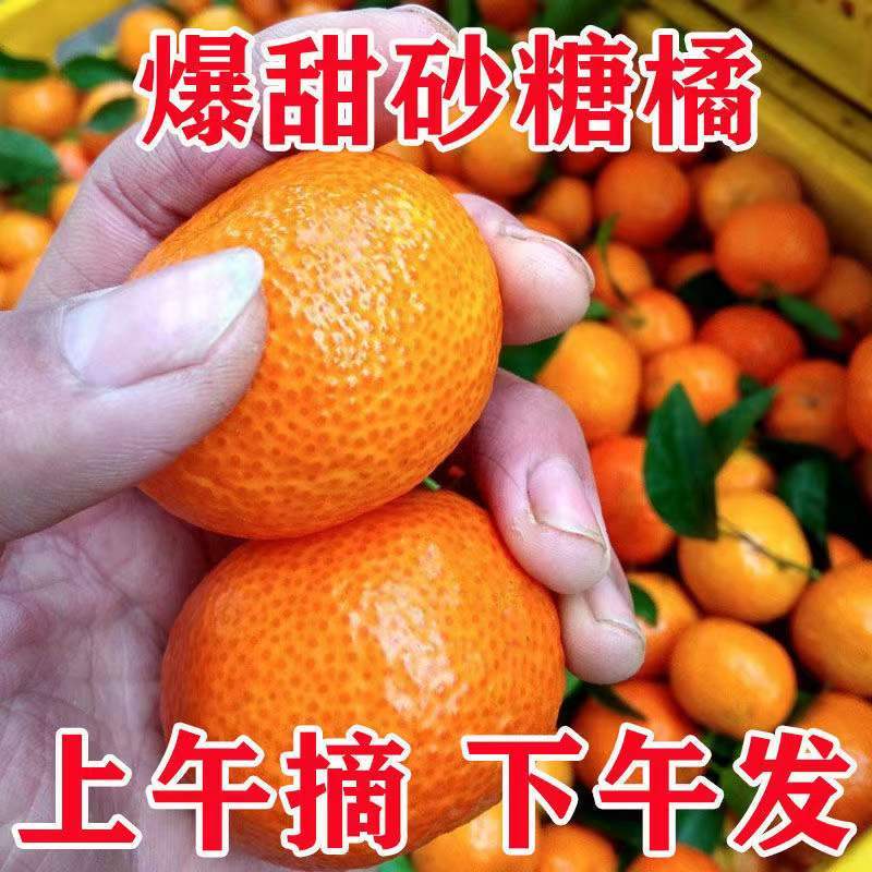 ڹɰǽ ժӦˮ ɳǽСӸٽӳ
