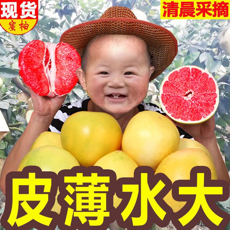ƽͺӺˮӦժ1.5-10
