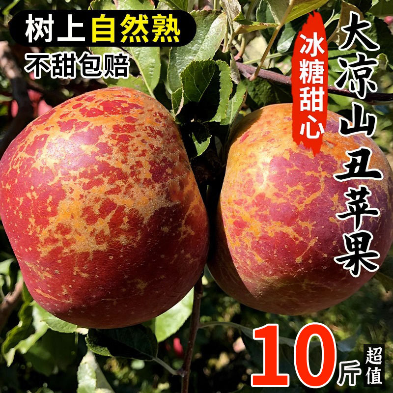 ɽڳƻ10ﵱˮԴ츻ʿ

