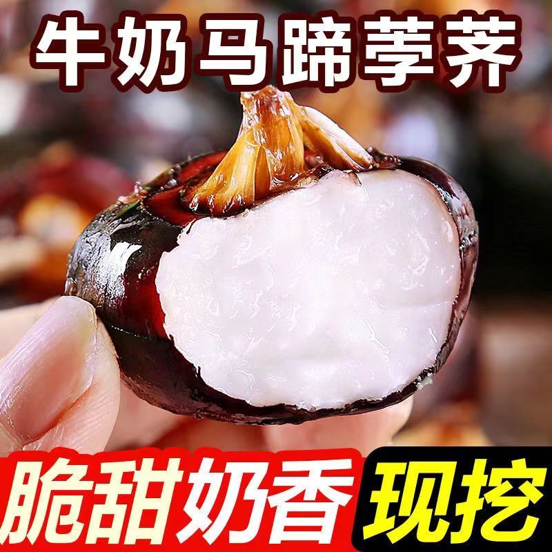 ڰ®ݩڴӦˮ߲˵5
