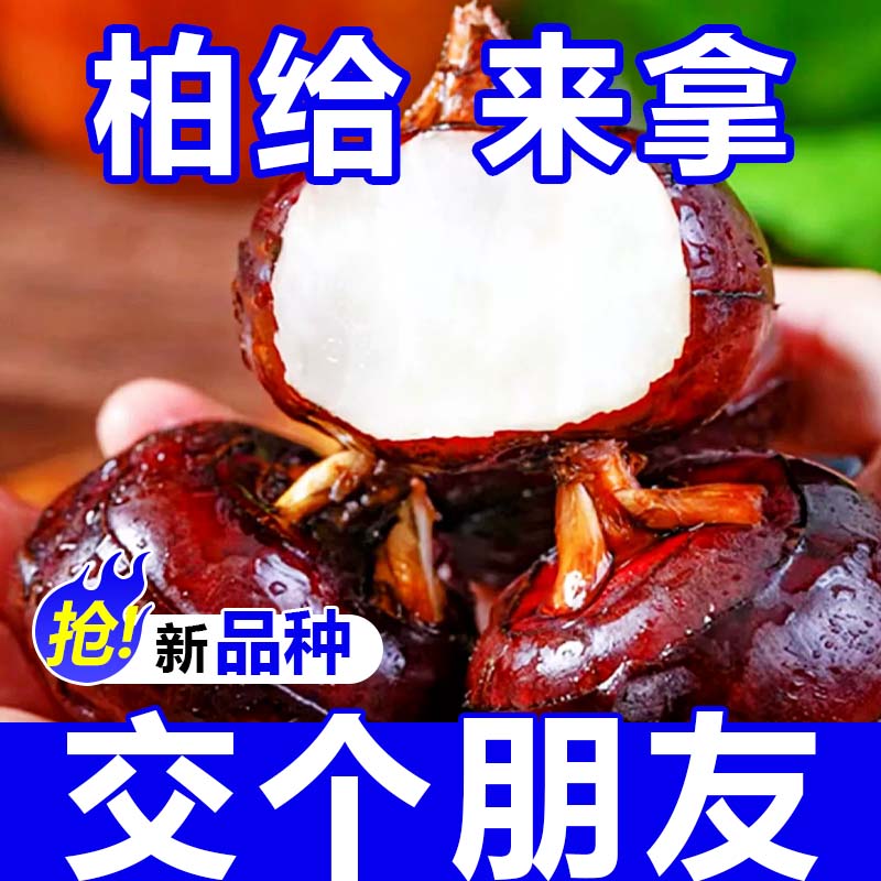 ڰ®ݩʵӦ߲ˮ
