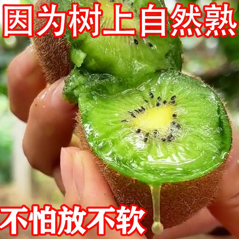 ⨺ҵˮķǺ⨺
