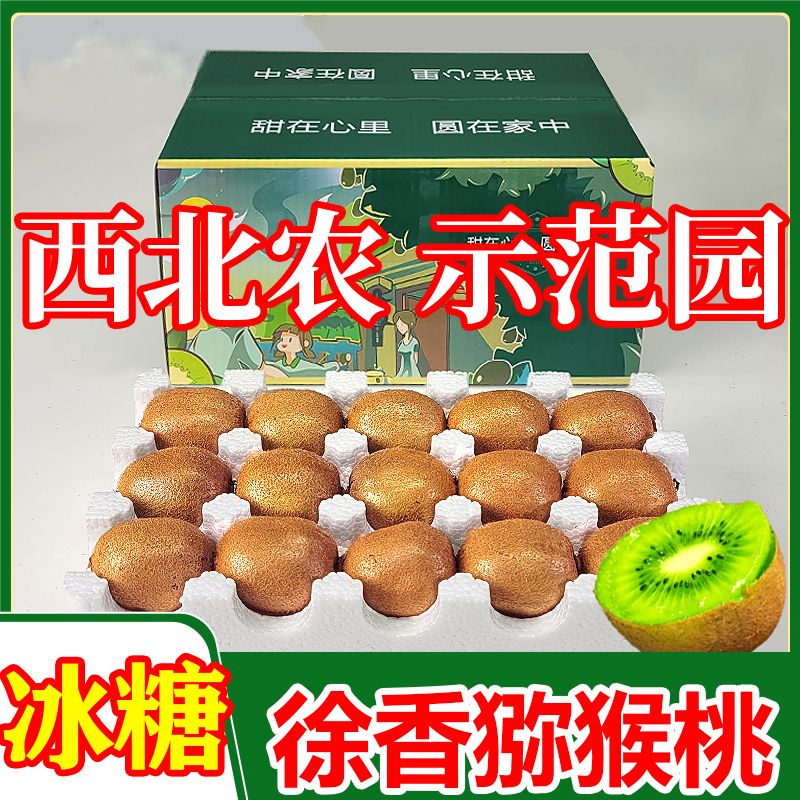 ⨺ҵˮķǺ⨺
