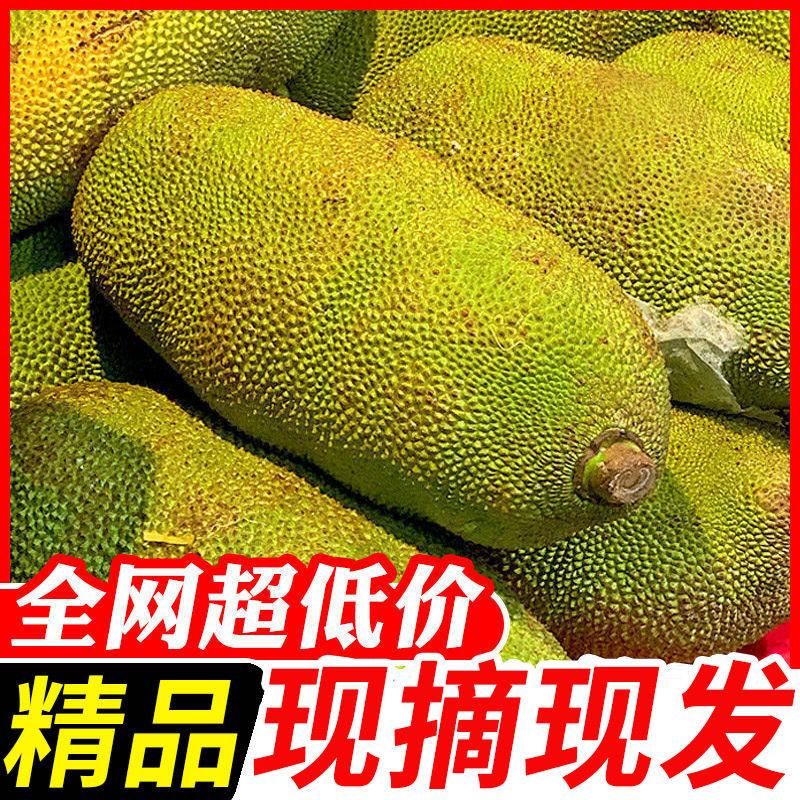 ǻⲤһʵˮۺļ
