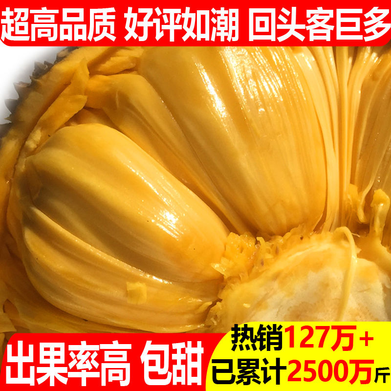 ժϲ ˮľ һ
