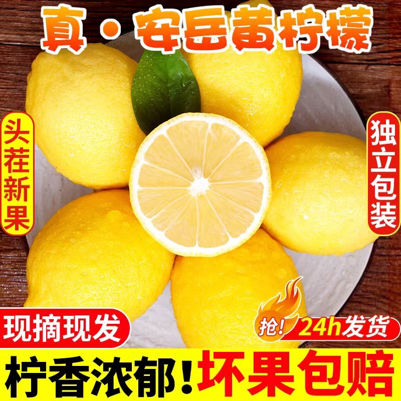 ժʹƤʹ̲
