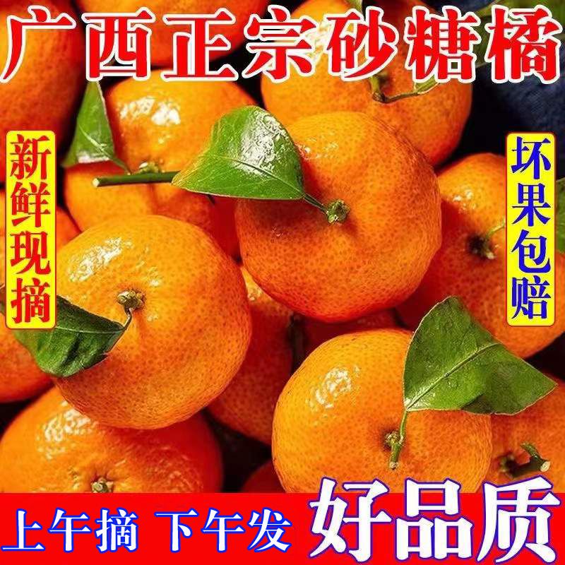 ڹɰǽ ժӦˮ ɳǽСӸٽӳ

