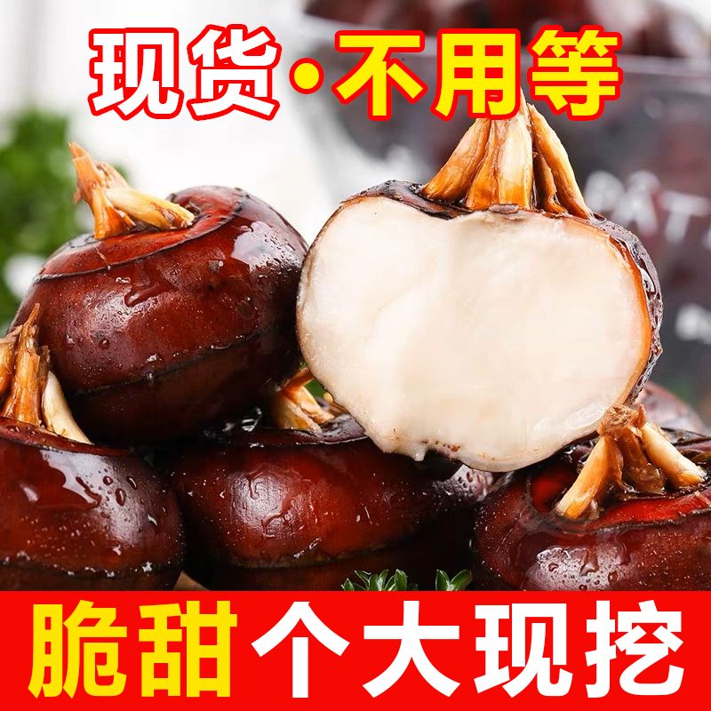 ڰ®ݩʵӦ߲ˮ

