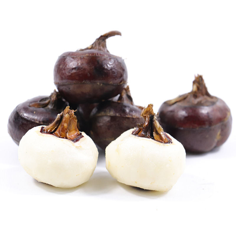 شũڡˮݩˮ߲˵
