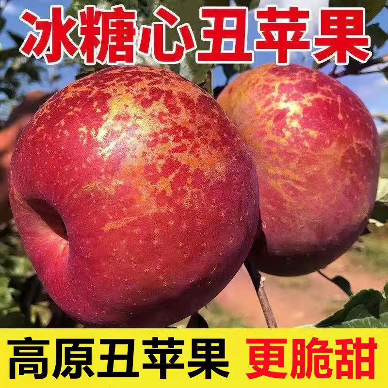 ڴɽƻˮʺ츻ʿƻ5/10
