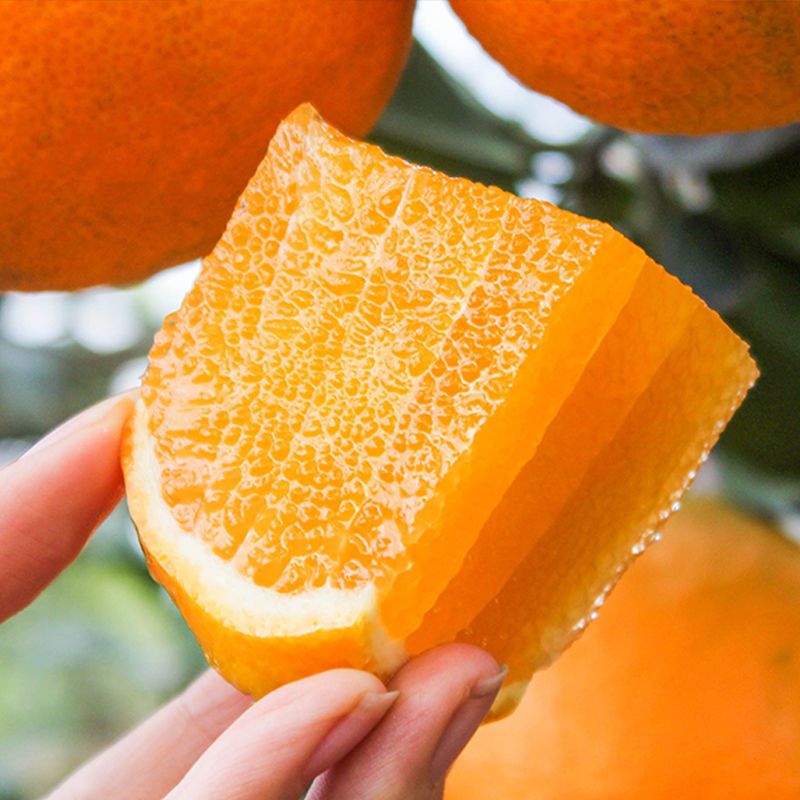 رƷƷ ڽʳ3/5/9
