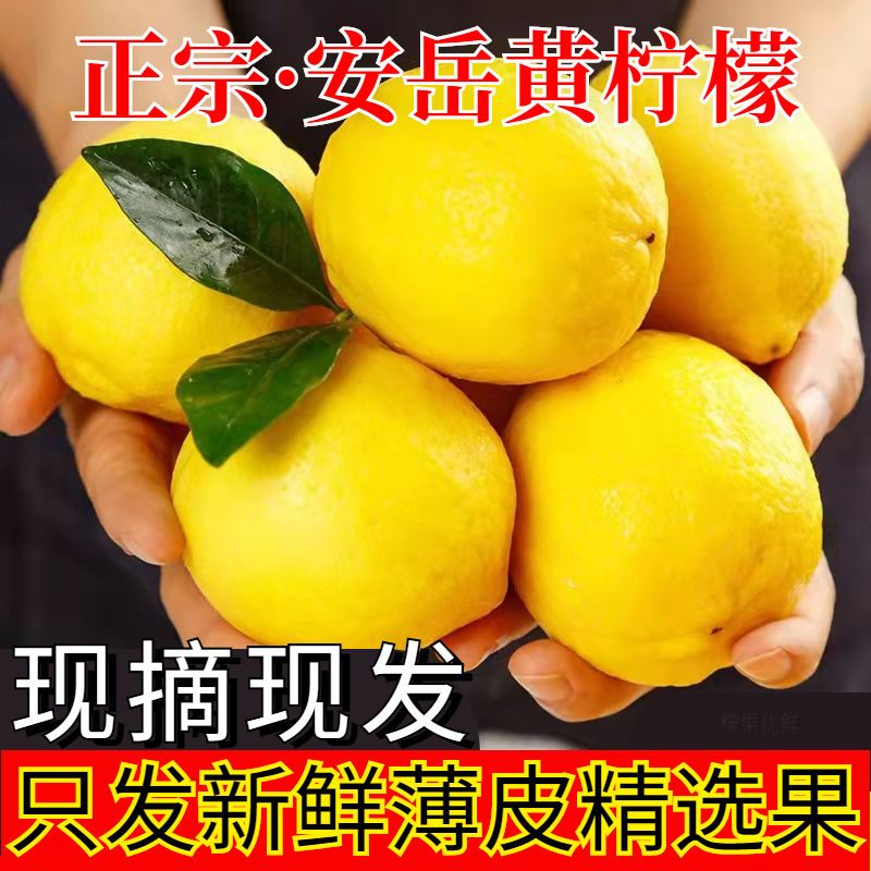 ժʹƤʹ̲
