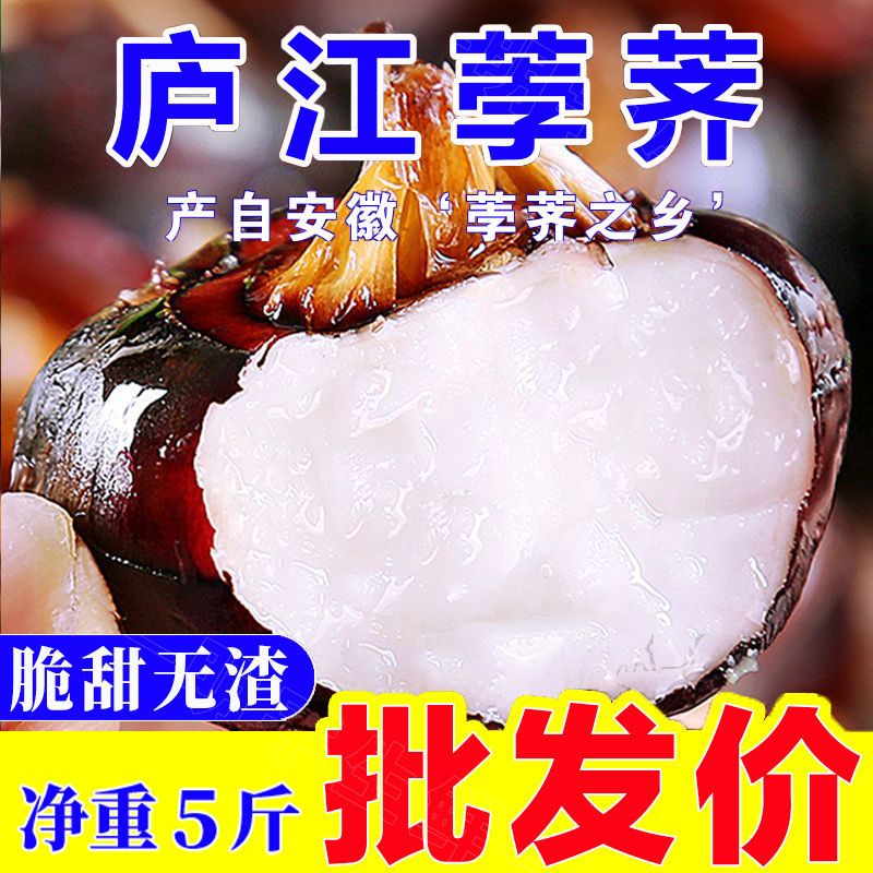 شũݩˮ߲˵
