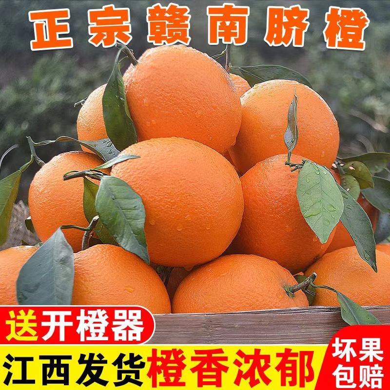 ʲժڸե֭ƤиӦˮ
