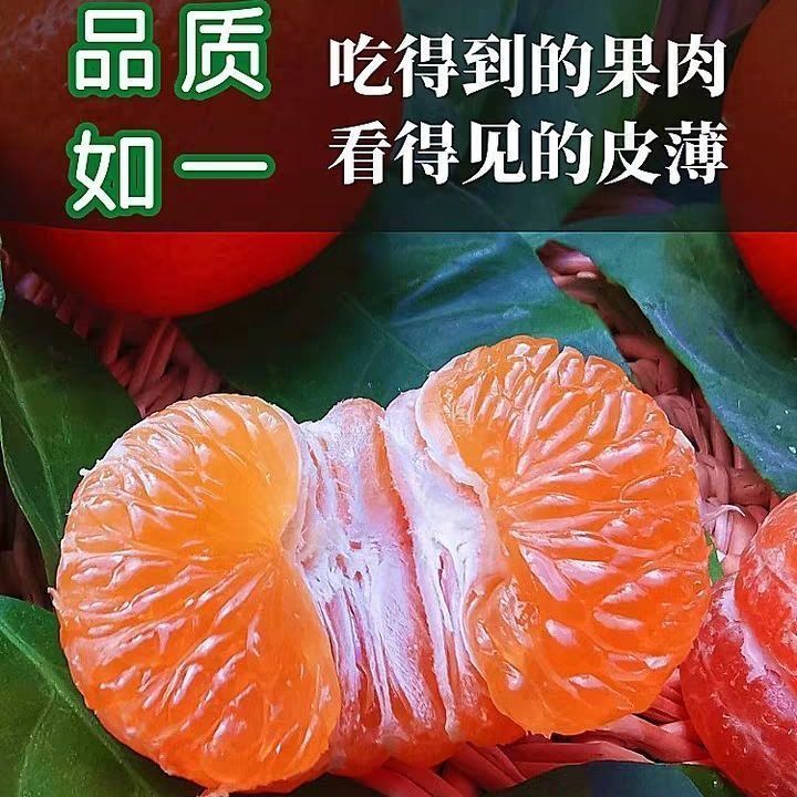 شũݩˮ߲˵
