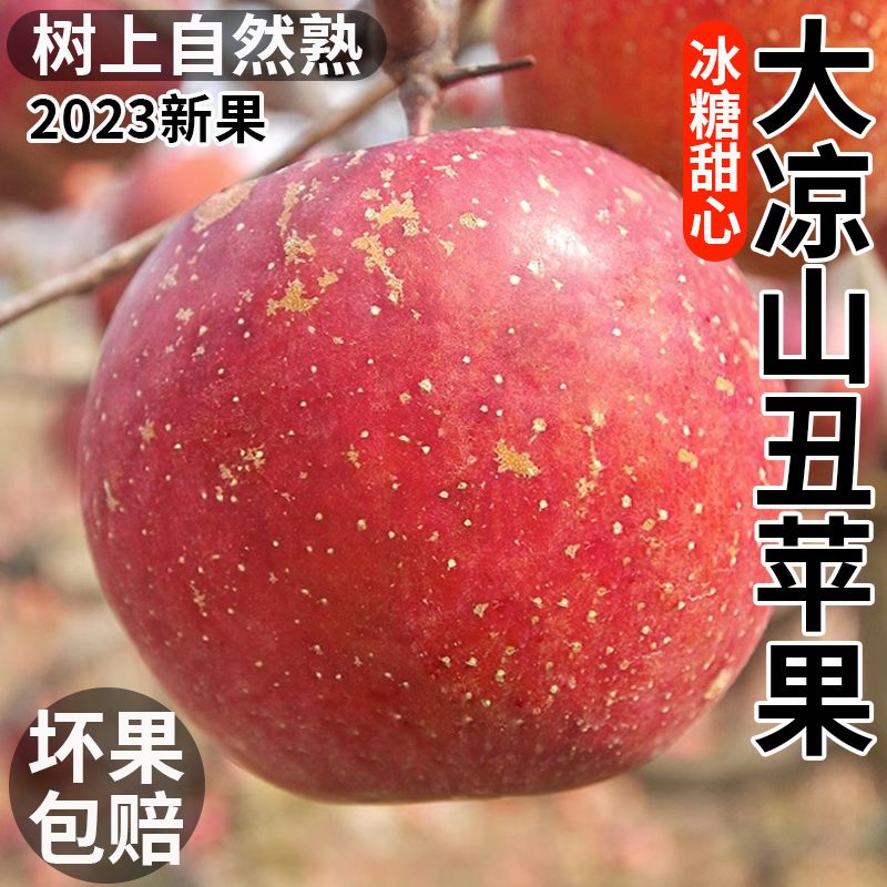 ɽڳƻ10ﵱˮԴ츻ʿ

