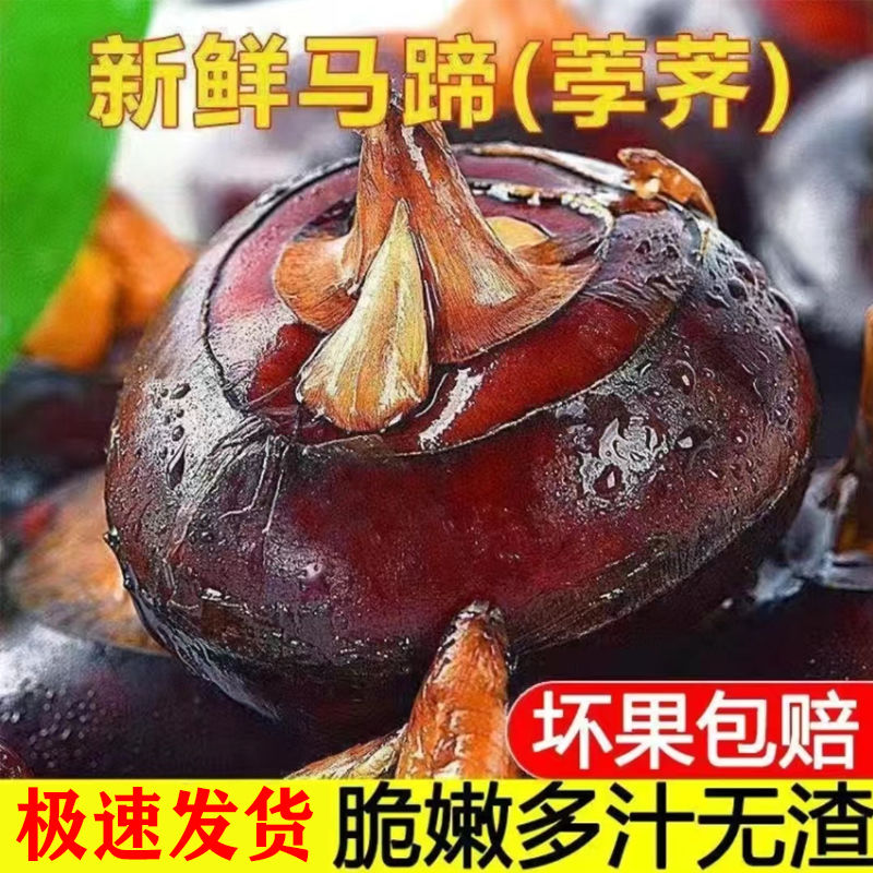 ڰ®ݩڴӦˮ߲˵5
