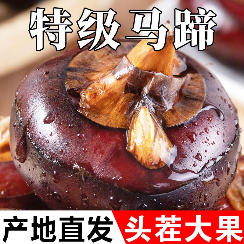ڰ®ݩʵӦ߲ˮ
