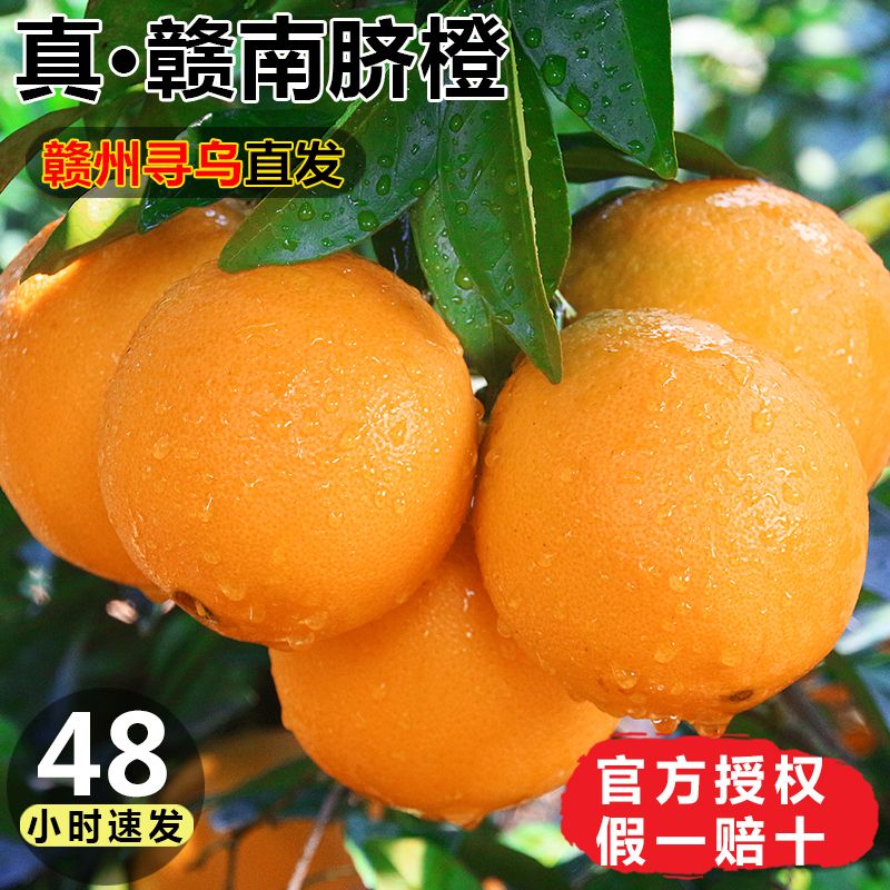 رƷƷ ڽʳ3/5/9
