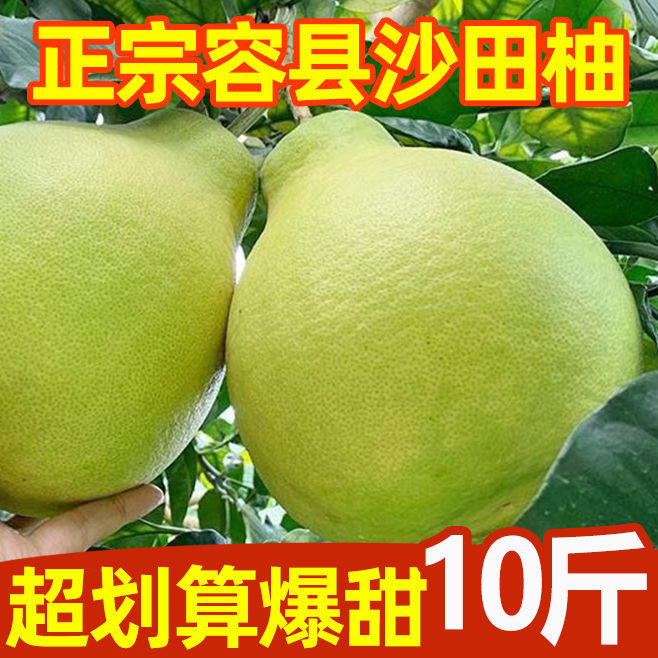 ժɳֹزˮִװ
