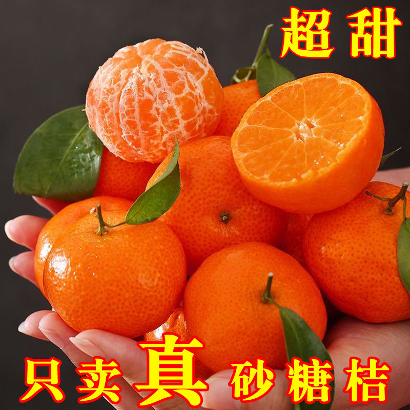 ڹɰǽ ժӦˮ ɳǽСӸٽӳ
