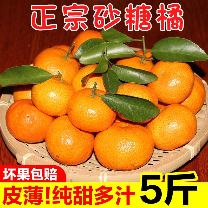 ڹɰǽ ժӦˮ ɳǽСӸٽӳ
