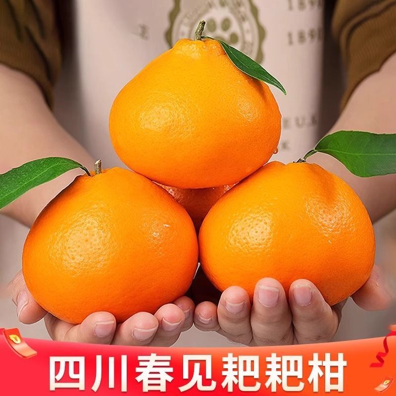 ĴؼҰҸθ10𵱼ˮ̽۰
