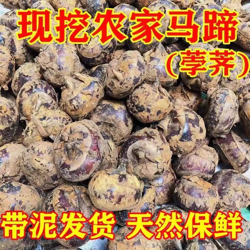 ڰ®ݩڴӦˮ߲˵5
